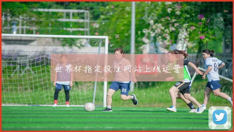 世界杯指定投注网站上线运营