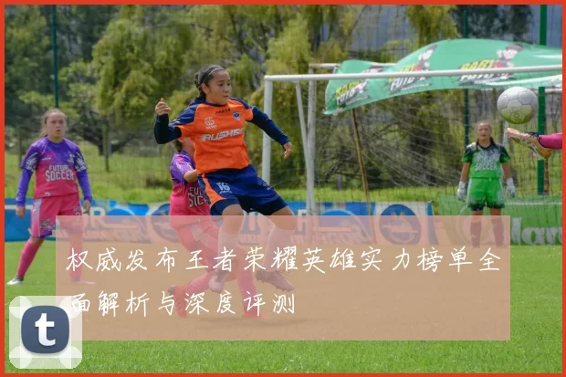 权威发布王者荣耀英雄实力榜单全面解析与深度评测