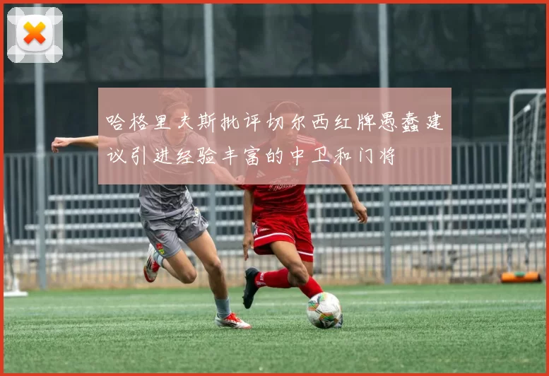 哈格里夫斯批评切尔西红牌愚蠢建议引进经验丰富的中卫和门将