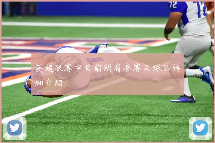 英超联赛中目前所有参赛足球队详细介绍