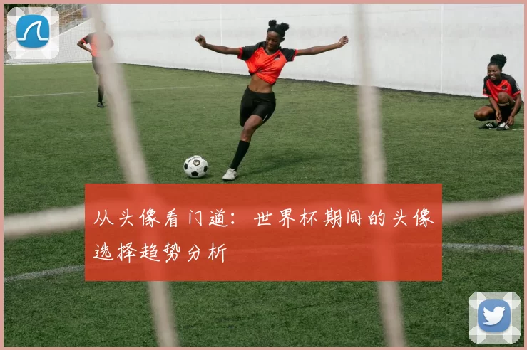 从头像看门道:世界杯期间的头像选择趋势分析