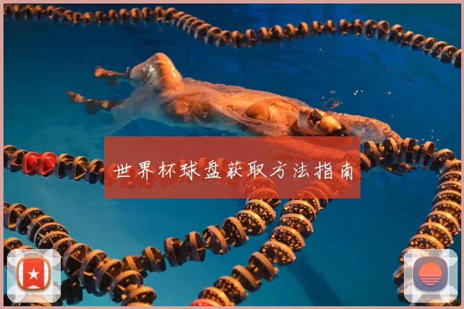 世界杯球盘获取方法指南