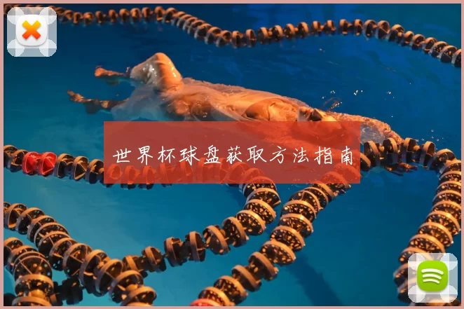 世界杯球盘获取方法指南