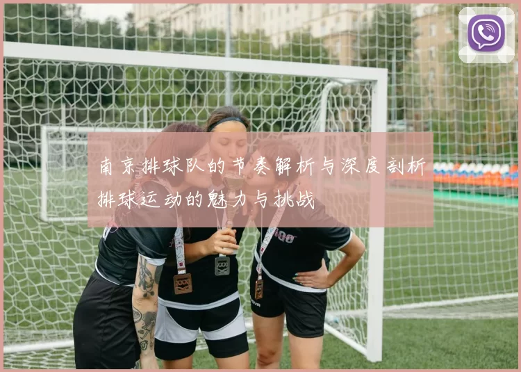 南京排球队的节奏解析与深度剖析排球运动的魅力与挑战