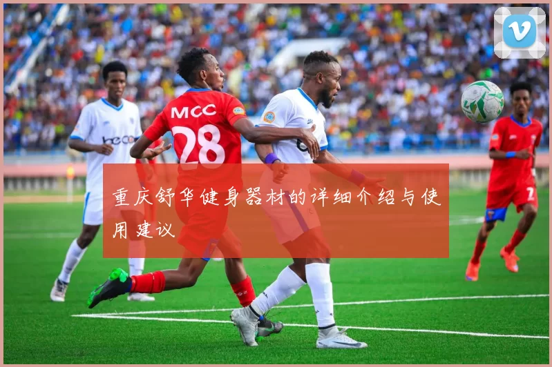 重庆舒华健身器材的详细介绍与使用建议