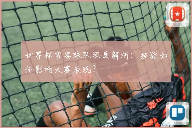 世界杯常客球队深度解析:经验如何影响大赛表现?