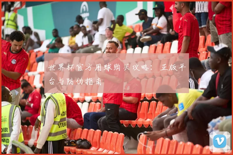 世界杯官方用球购买攻略:正版平台与防伪指南