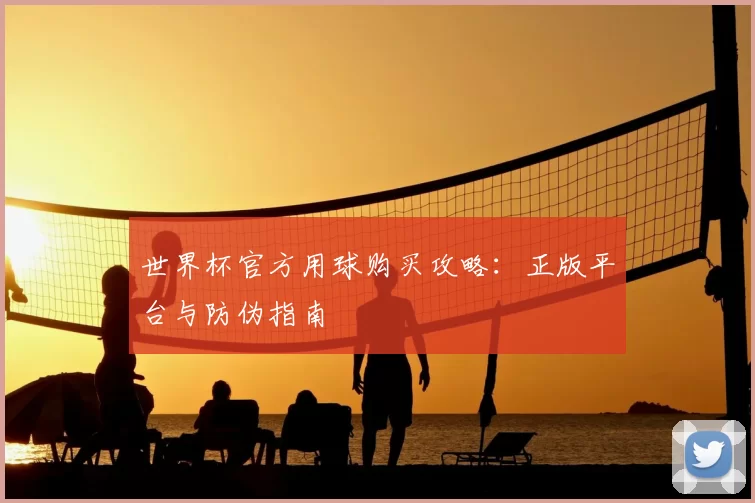 世界杯官方用球购买攻略：正版平台与防伪指南