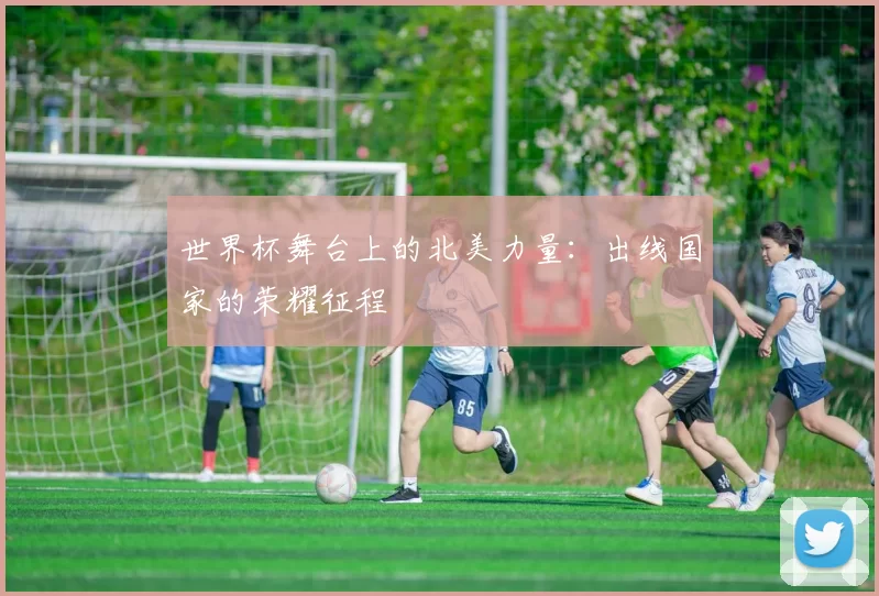 世界杯舞台上的北美力量：出线国家的荣耀征程