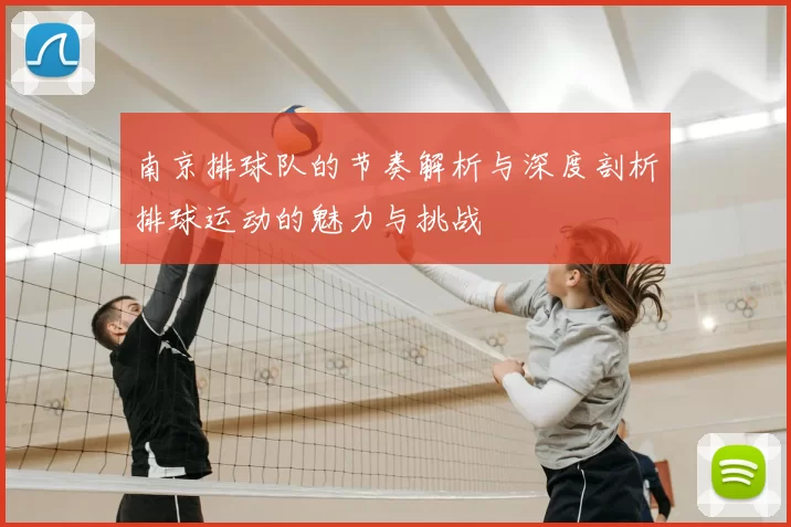 南京排球队的节奏解析与深度剖析排球运动的魅力与挑战