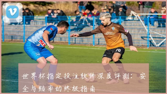 世界杯指定投注软件深度评测：安全与赔率的终极指南